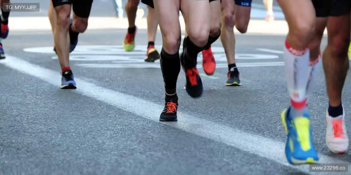 海棠网，尽享视听盛典！🌟🎬